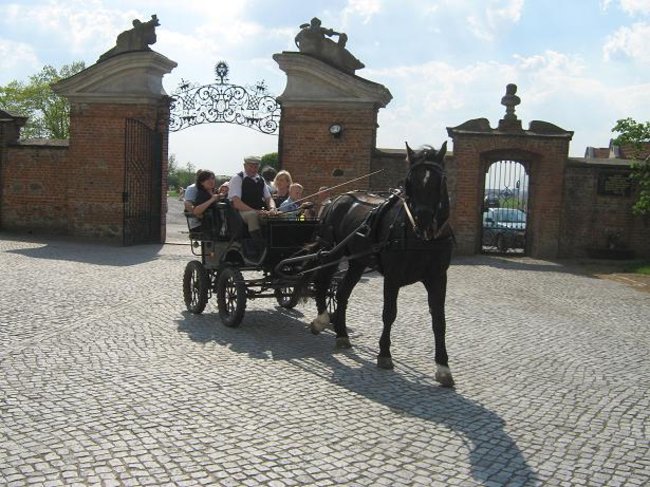 Święta natura, Święta Góra - fotorelacja