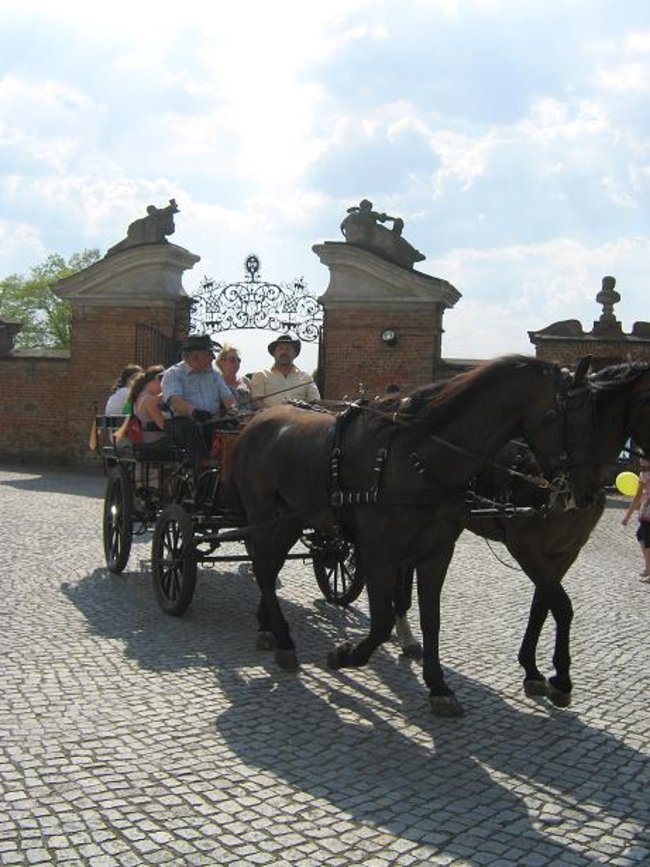 Święta natura, Święta Góra - fotorelacja