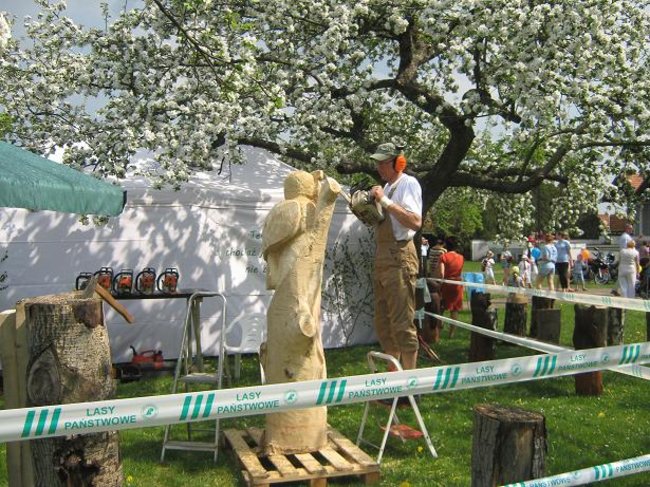 Święta natura, Święta Góra - fotorelacja