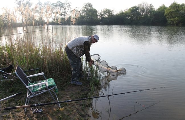 Raczyli się wędzonymi rybami - zdjęcia