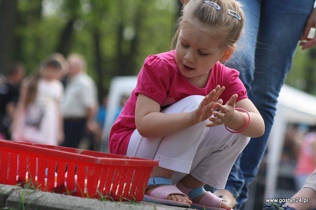 Zamiast tortu były ślepe ryby - zdjęcia