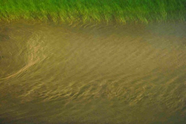 Tego nie dało się przewidzieć - zdjęcia