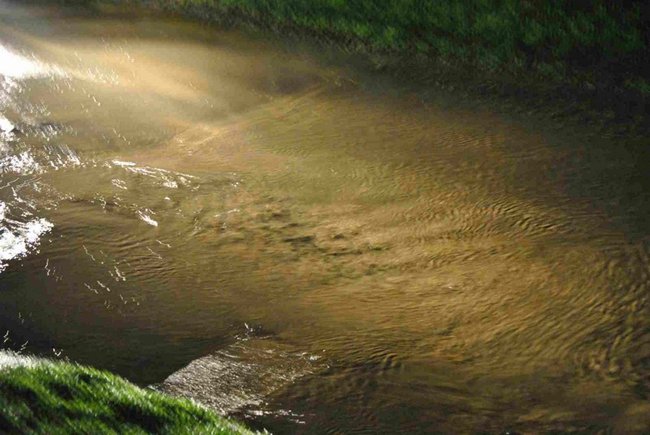 Tego nie dało się przewidzieć - zdjęcia