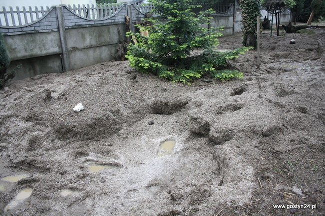 W dzień wygląda jeszcze gorzej - zdjęcia