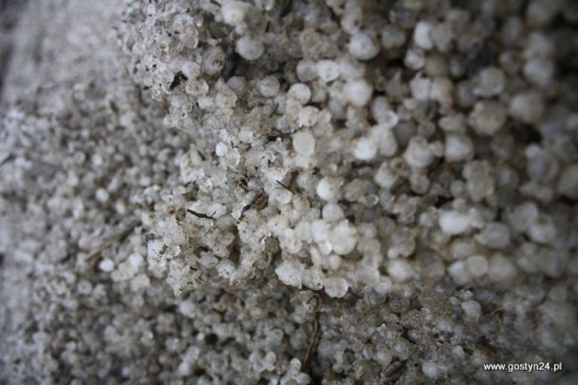 W dzień wygląda jeszcze gorzej - zdjęcia