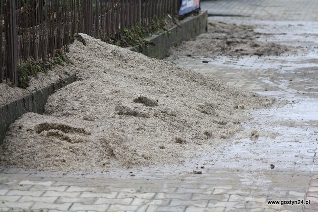 W dzień wygląda jeszcze gorzej - zdjęcia