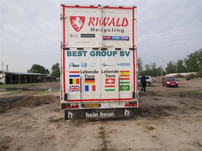 Bryczką  przez Europę - zdjęcia