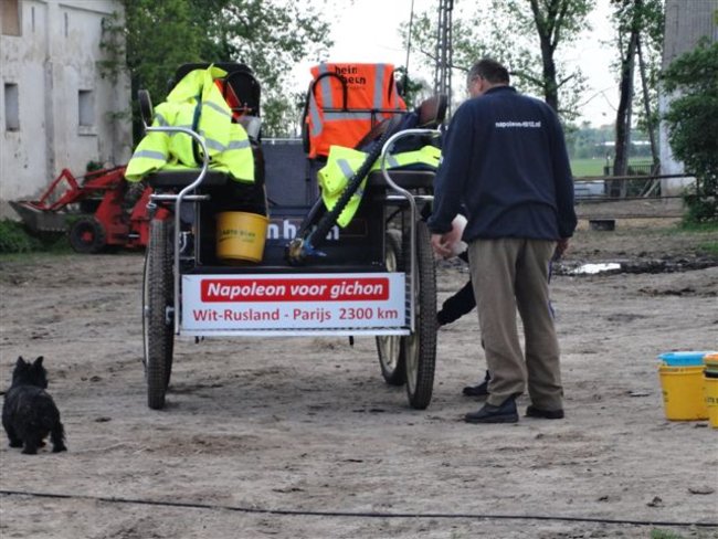 Bryczką  przez Europę - zdjęcia