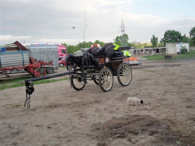 Bryczką  przez Europę - zdjęcia