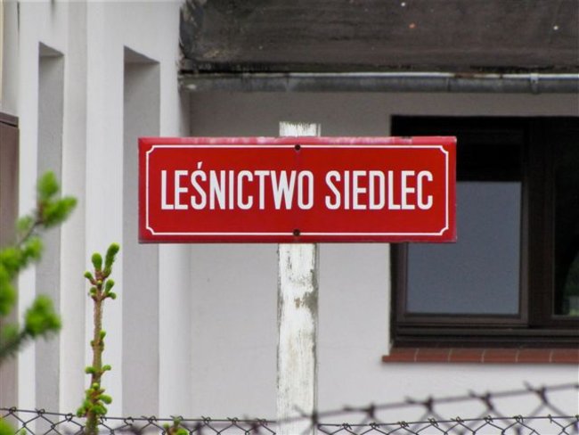 Wymusili zmianę decyzji - zdjęcia