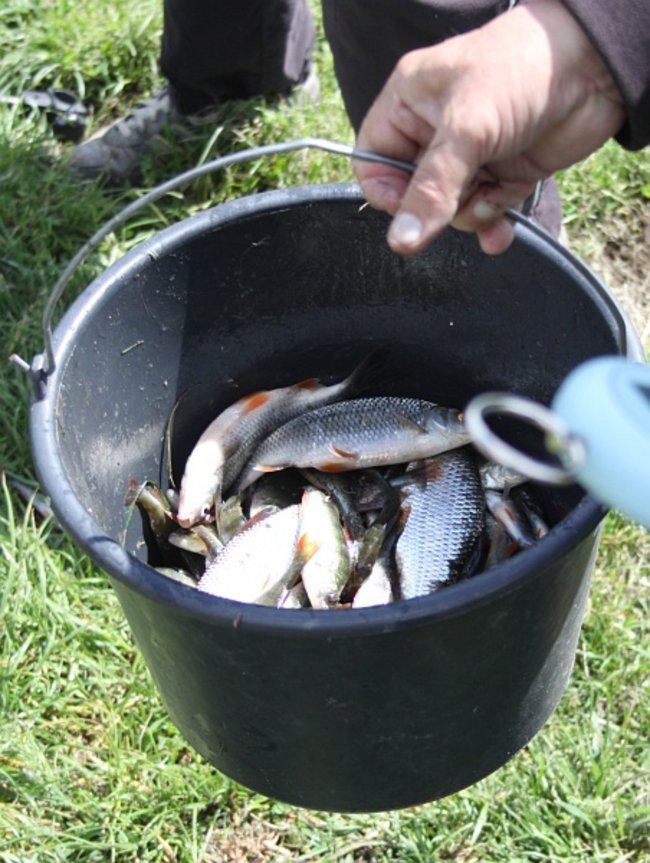 Policyjne zawody nad ?Balatonem? - zdjęcia