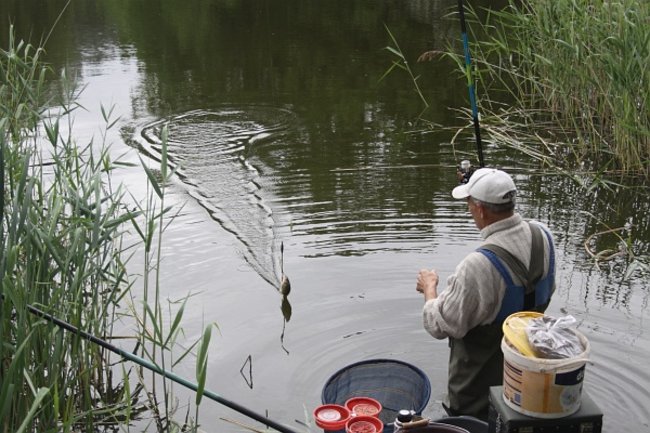 Czekali na złote karasie - zdjęcia