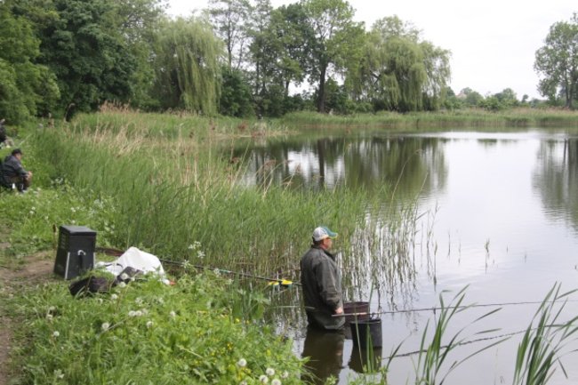 Czekali na złote karasie - zdjęcia