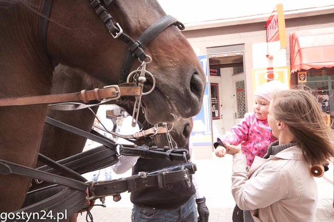 Chuck Norris w Gostyniu - fotorelacja