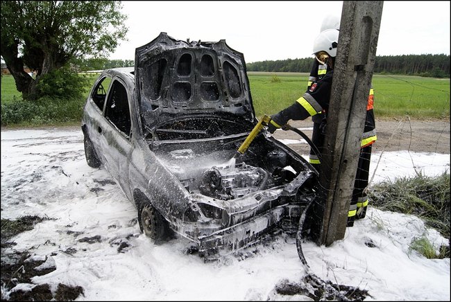 Auto nagle stanęło w płomieniach - zdjęcia