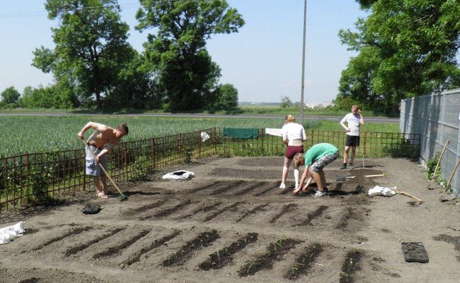 Pomarańczowi opanowali Bodzewo  - zdjęcia