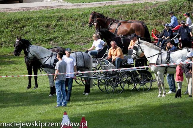 Zawody, które mają swoją renomę - zdjęcia