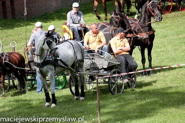 Zawody, które mają swoją renomę - zdjęcia