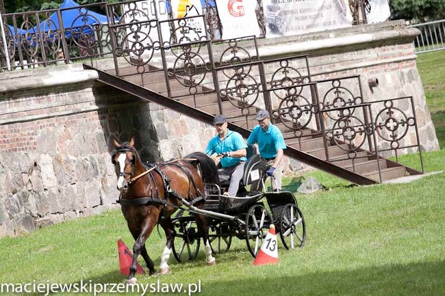 Zawody, które mają swoją renomę - zdjęcia