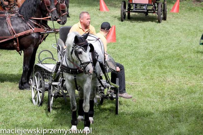 Zawody, które mają swoją renomę - zdjęcia