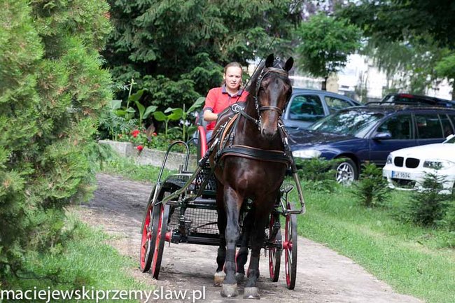 Zawody, które mają swoją renomę - zdjęcia