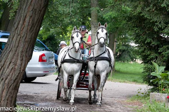 Zawody, które mają swoją renomę - zdjęcia