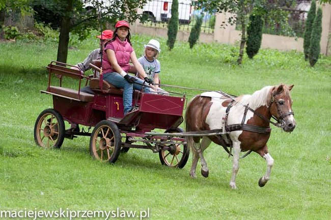 Zawody, które mają swoją renomę - zdjęcia