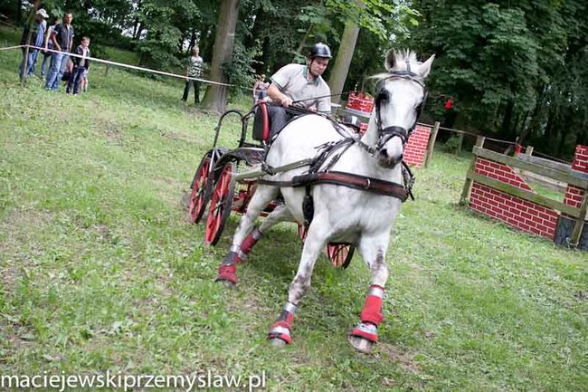 Zawody, które mają swoją renomę - zdjęcia