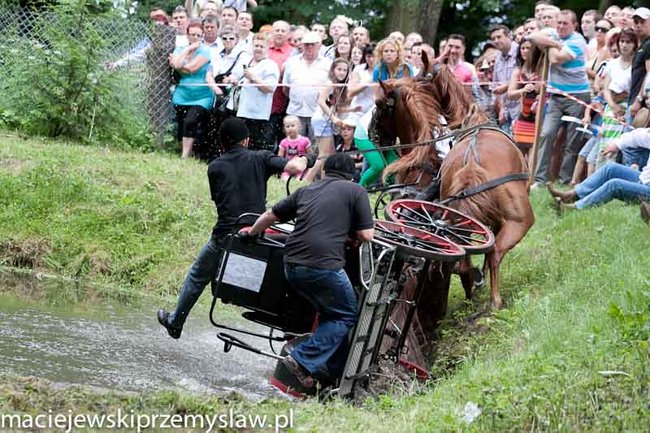 Zawody, które mają swoją renomę - zdjęcia