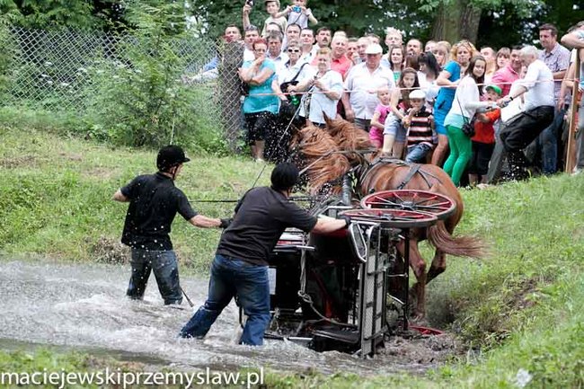 Zawody, które mają swoją renomę - zdjęcia
