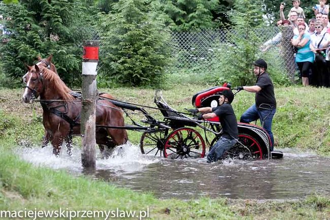 Zawody, które mają swoją renomę - zdjęcia