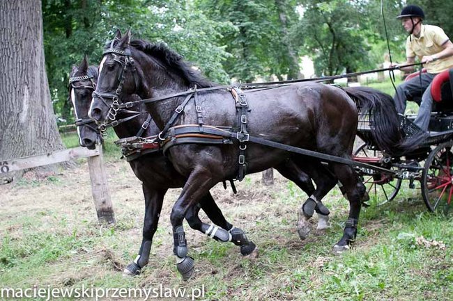 Zawody, które mają swoją renomę - zdjęcia