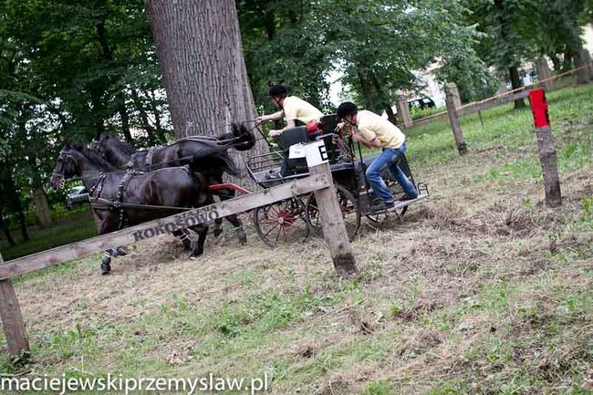 Zawody, które mają swoją renomę - zdjęcia