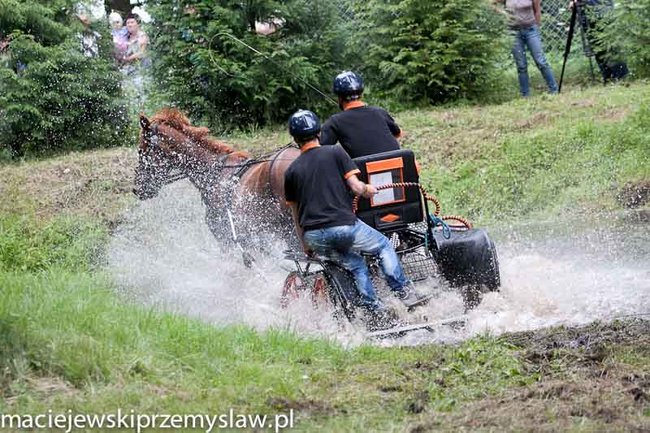 Zawody, które mają swoją renomę - zdjęcia