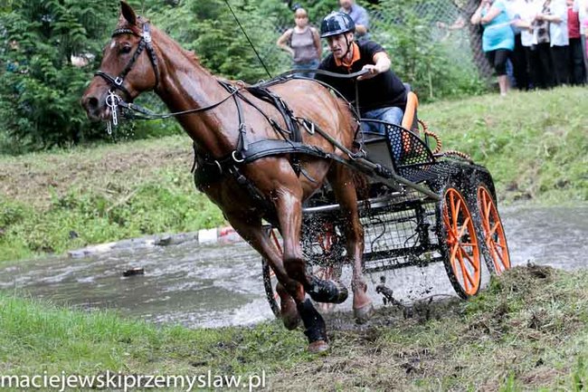 Zawody, które mają swoją renomę - zdjęcia