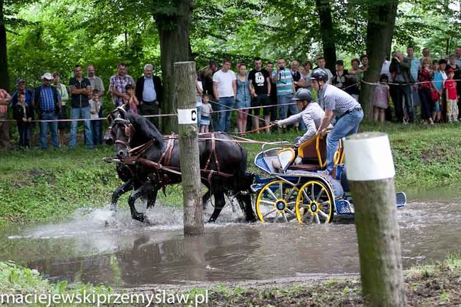 Zawody, które mają swoją renomę - zdjęcia