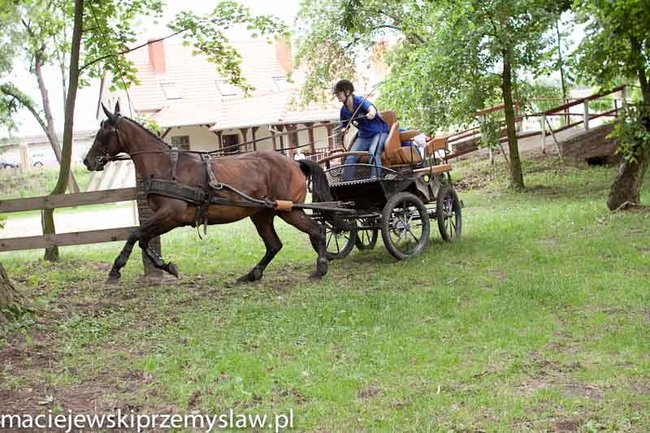 Zawody, które mają swoją renomę - zdjęcia