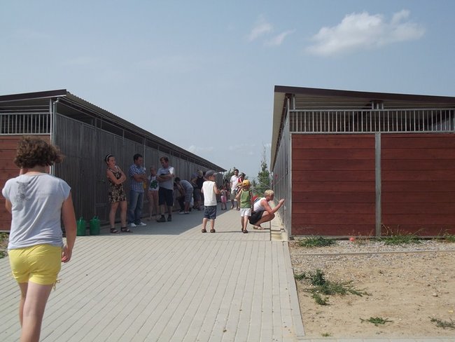 W oczekiwaniu na nowy dom - zdjęcia