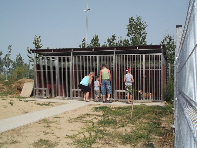 W oczekiwaniu na nowy dom - zdjęcia