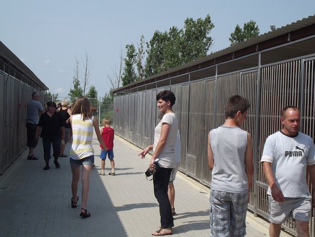 W oczekiwaniu na nowy dom - zdjęcia
