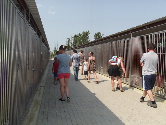 W oczekiwaniu na nowy dom - zdjęcia