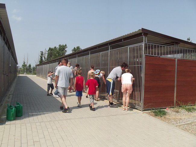 W oczekiwaniu na nowy dom - zdjęcia