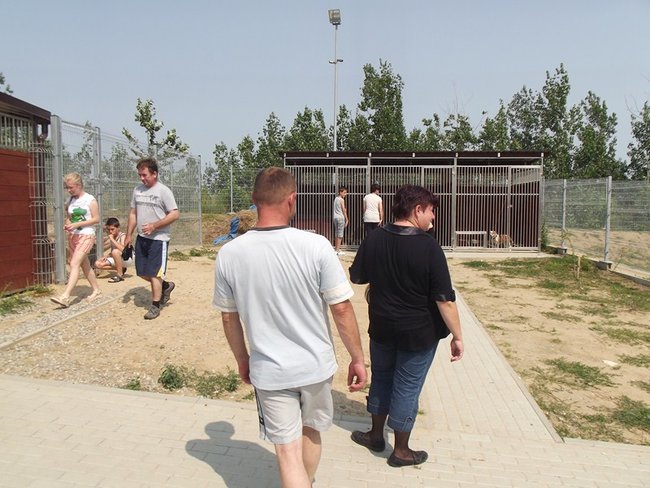 W oczekiwaniu na nowy dom - zdjęcia