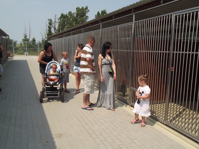 W oczekiwaniu na nowy dom - zdjęcia
