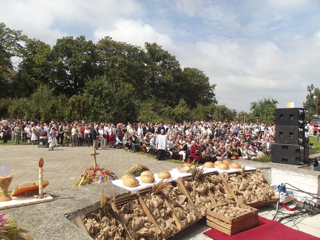 Poświęcili chleb, kwiaty i zioła - zdjęcia