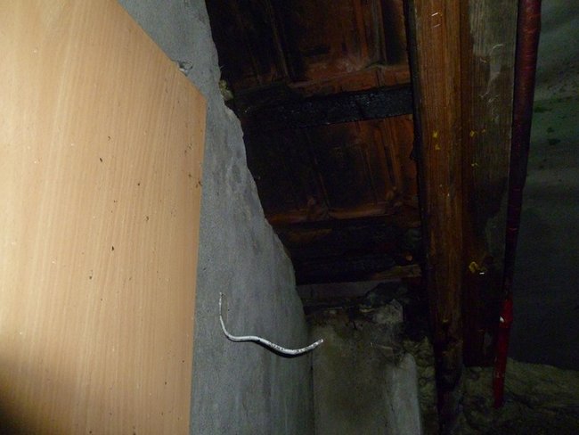 Padały drzewa i palił się dach - zdjęcia