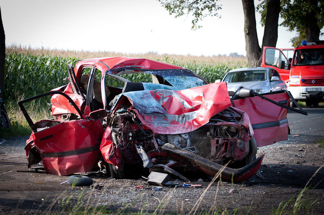 Rodzinna tragedia pod Rokosowem - zdjęcia