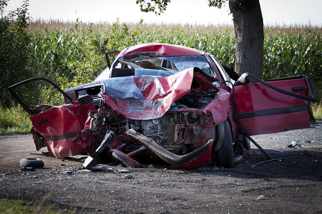 Rodzinna tragedia pod Rokosowem - zdjęcia