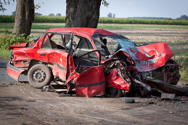 Rodzinna tragedia pod Rokosowem - zdjęcia