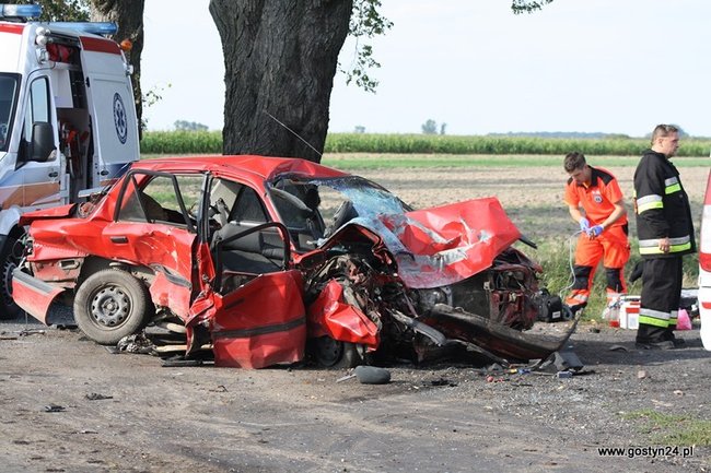Rodzinna tragedia pod Rokosowem - zdjęcia